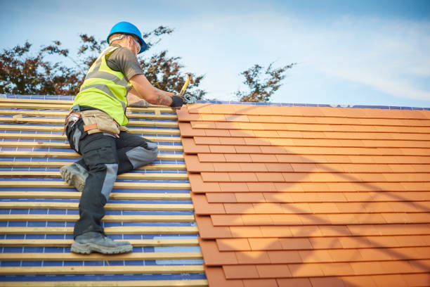 Best Roof Maintenance and Cleaning  in Mcminnville, TN
